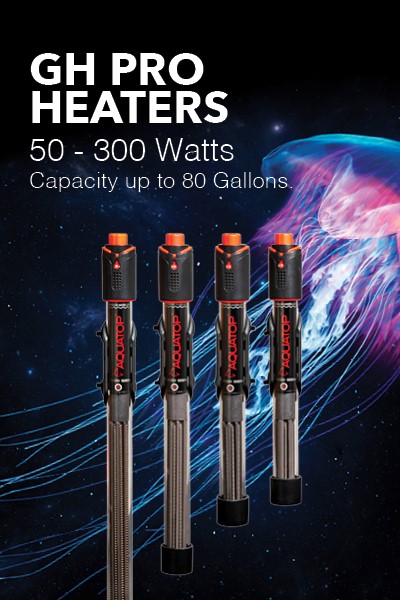 GH PRO Aquarium Heaters